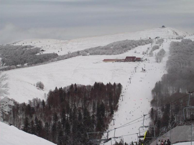 Chalet De Grettery Saulxures-sur-Moselotte Εξωτερικό φωτογραφία